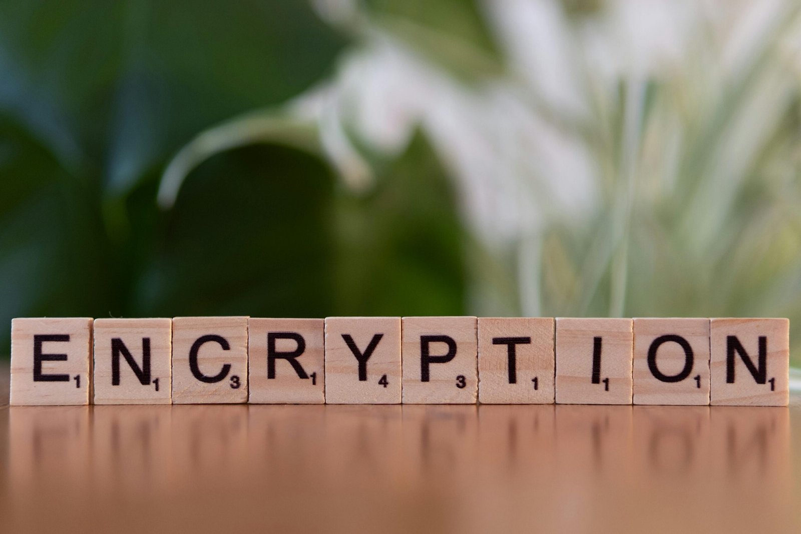 Data Encryption: Complete Guide to Data Security, Types, Algorithms & Best Practices